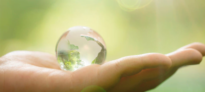 Banner: Reunião do Comitê de Meio Ambiente – CMA