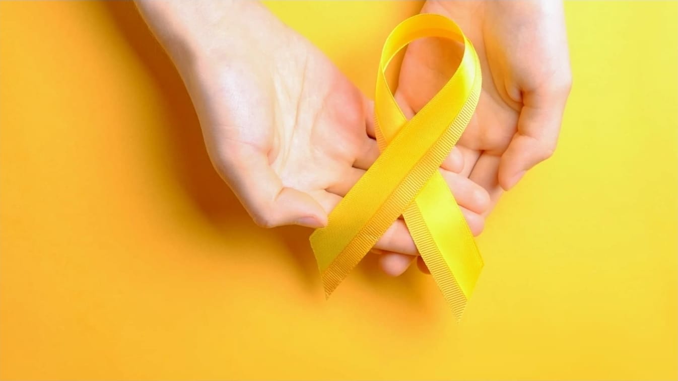 Banner: CRS avalia resultados do DNCS 2026 e projeta Setembro Amarelo  